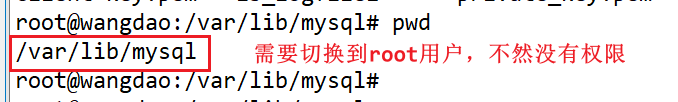 image-20230701101640374