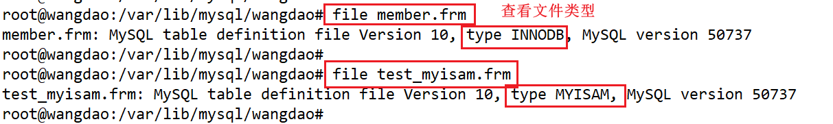 image-20230701102036994